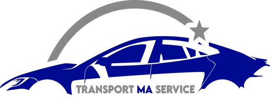 Local and Air Port Service